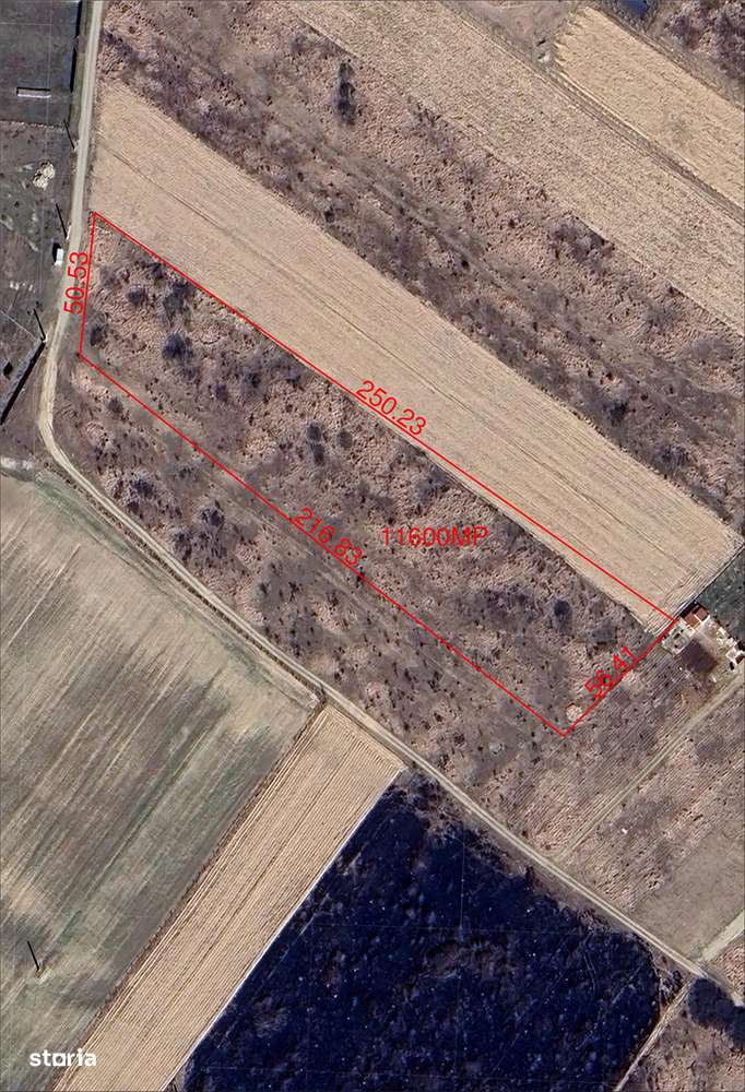Teren intravilan parcelabil - Pausa, comuna Nojorid - IMOBIHOR - Imagine principală: 1/7