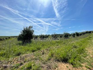 Terreno perto da Vila de Avis - Grande imagem: 5/14