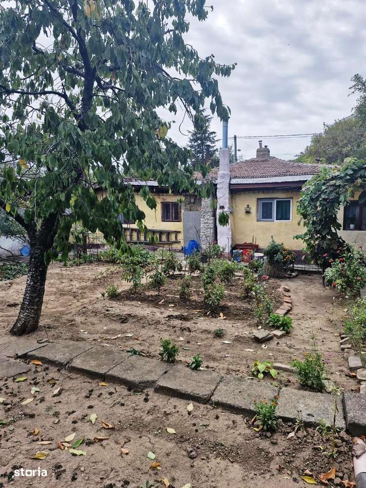 Colentina-Peisajului-7