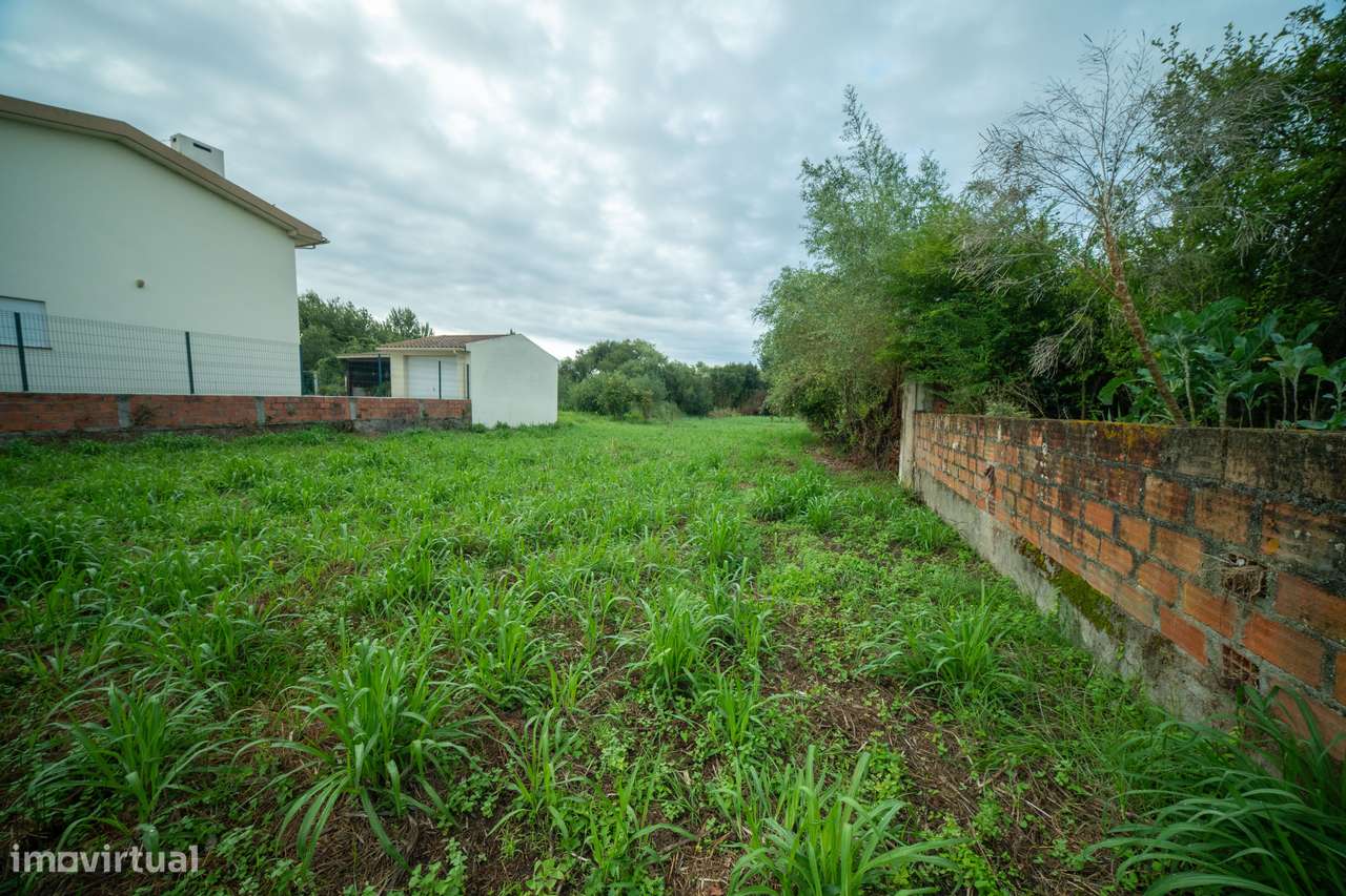Terreno para venda - Murtosa-5