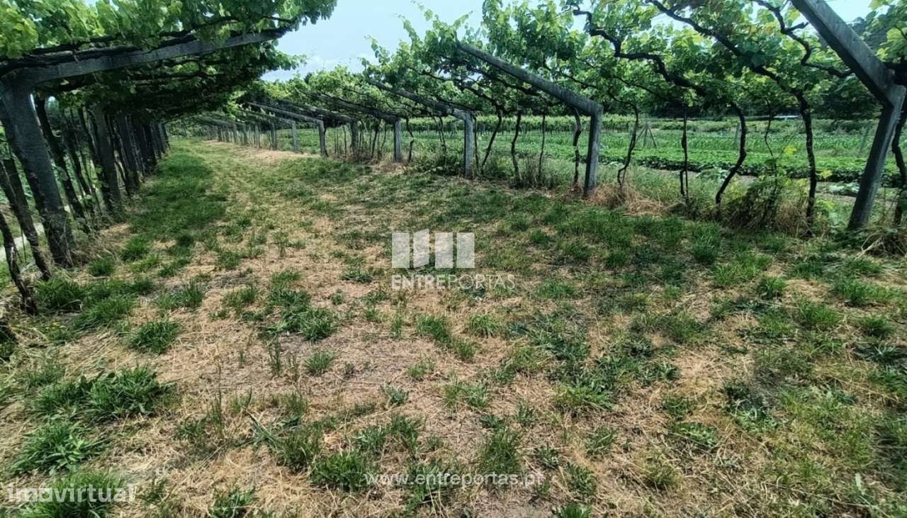 Venda de terreno para construção, Vitorino das Donas, Ponte de Lima - Grande imagem: 5/30