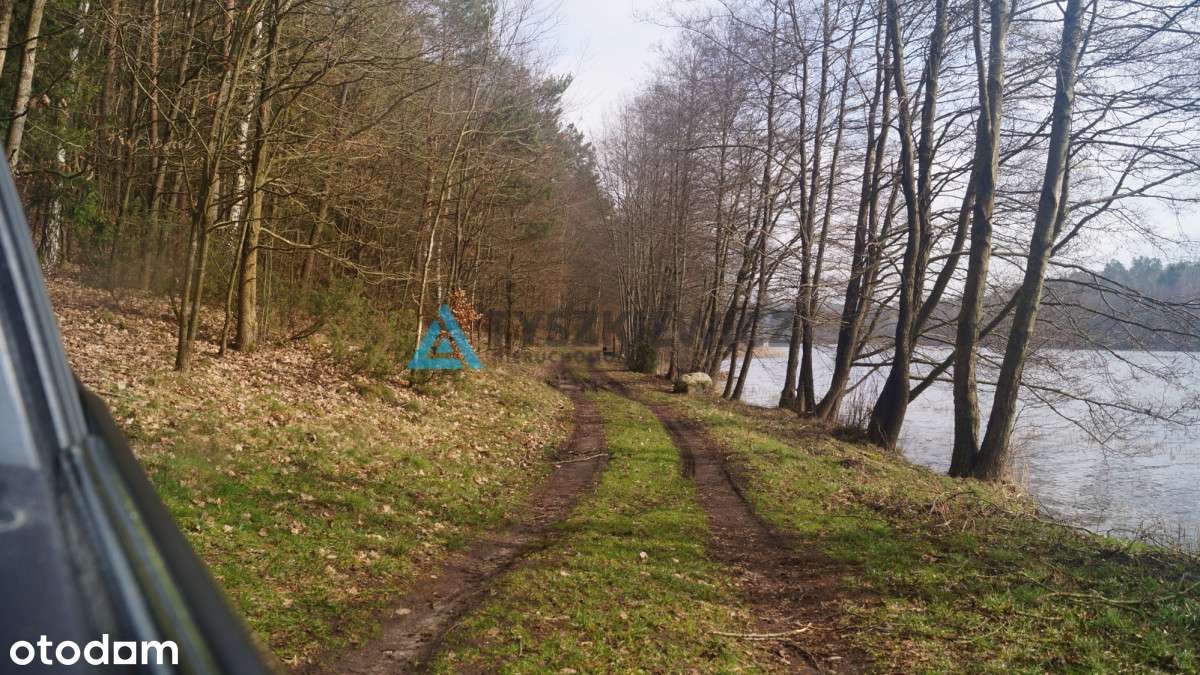 Działka leśna blisko jeziora Kamieniczno - Pełny obrazek: 5/8