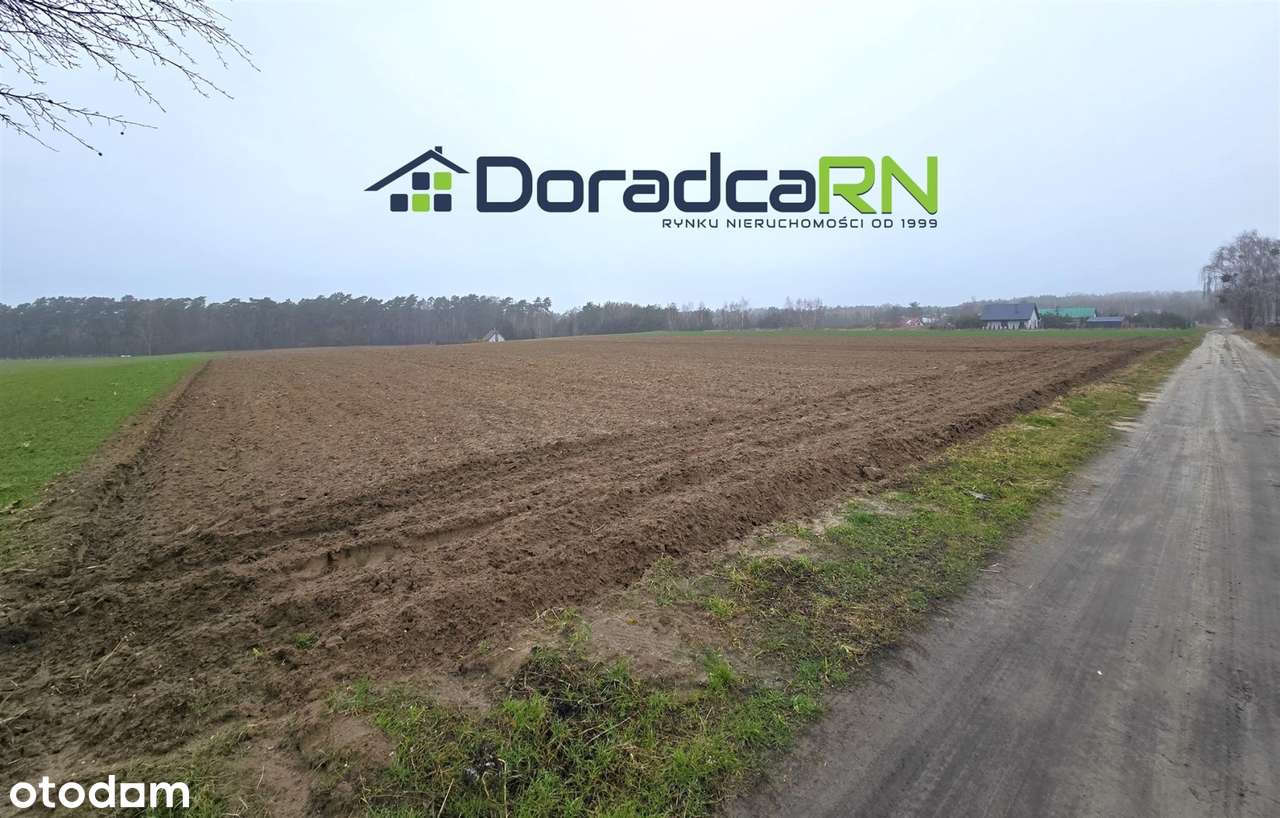 Kaczlin - teren inwestycyjny - zabudowa letniskow - Pełny obrazek: 5/5