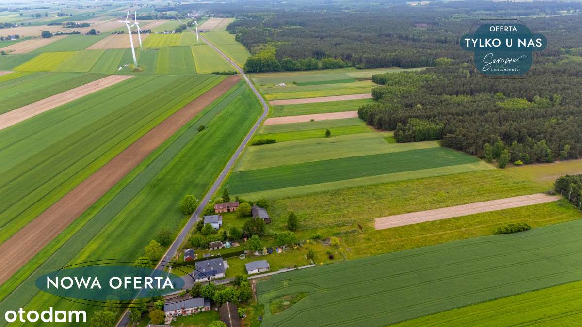 Działka Górki Grabińskie - Pełny obrazek: 5/8