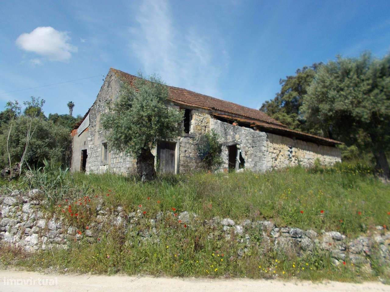 Terreno de 50.000 m2  c/ 2 Palheiros, 2 poços. - Grande imagem: 2/24