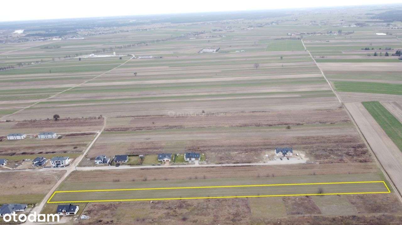 Działka, 7 400 m², Rybienko Stare - Pełny obrazek: 4/6