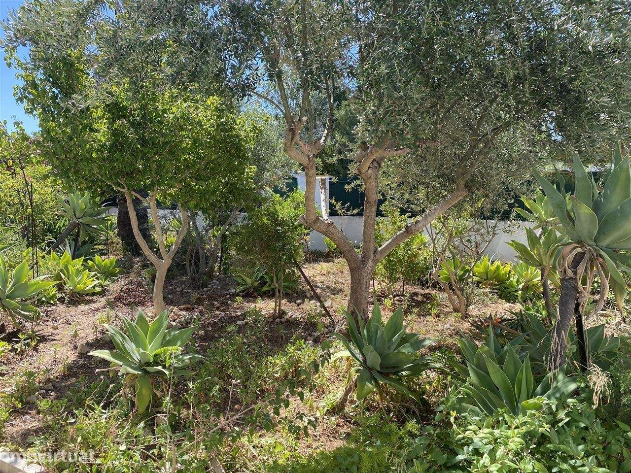 Uma Propriedade Inigualável em Alvor: Moradia T3 + 3 Apartamentos Inde - Grande imagem: 2/55