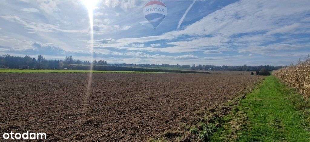 Działka Mn-rolna- rekreacja - Pełny obrazek: 5/7