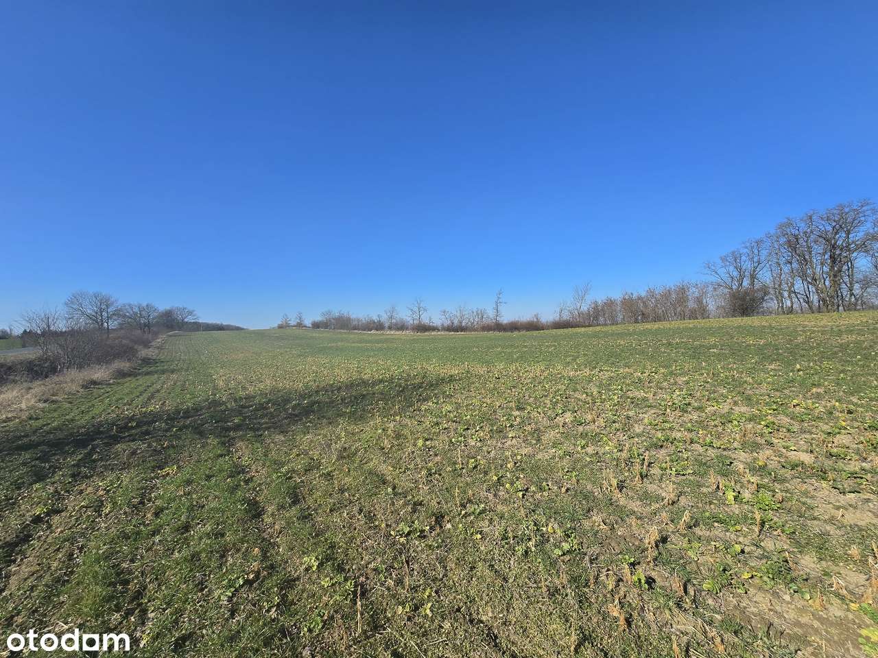 3 z 7 działek budowlanych w Lubiatówku-6