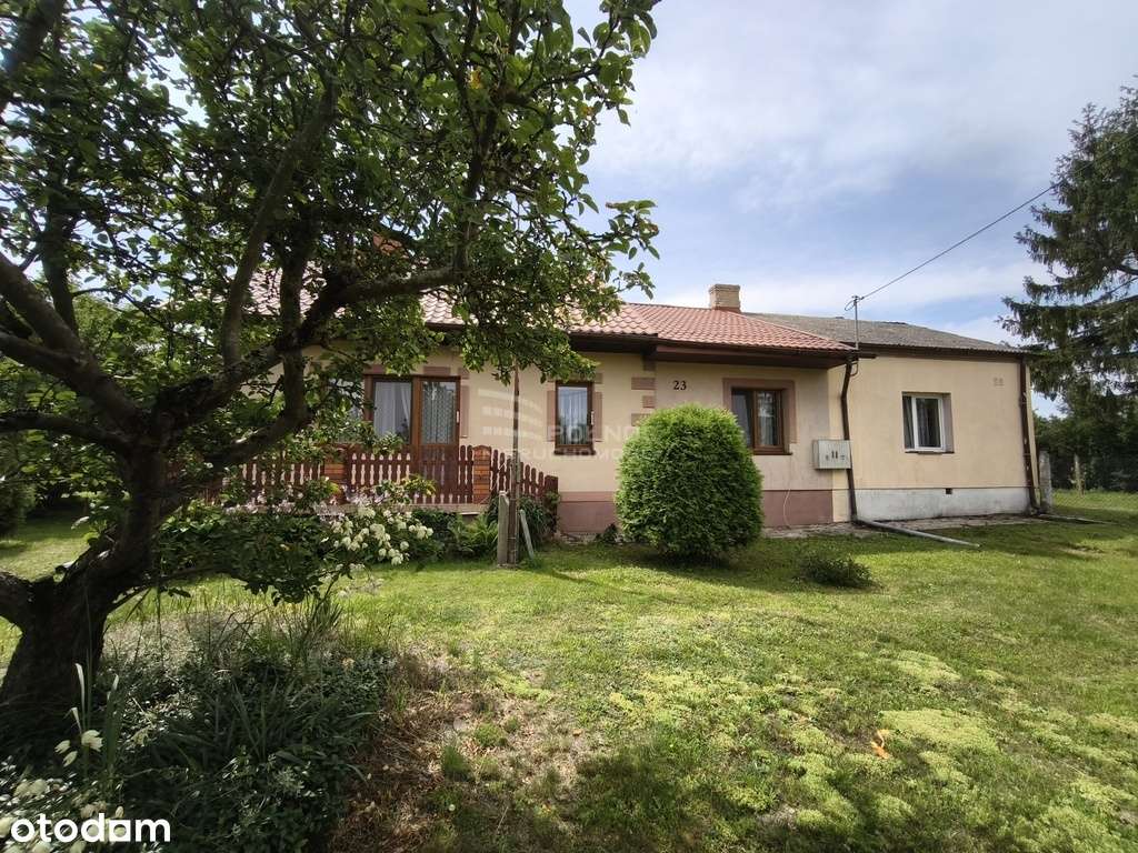 Siedlisko w nadbużańskim Okczynie+LAS 0,5Ha Gratis - Pełny obrazek: 2/20