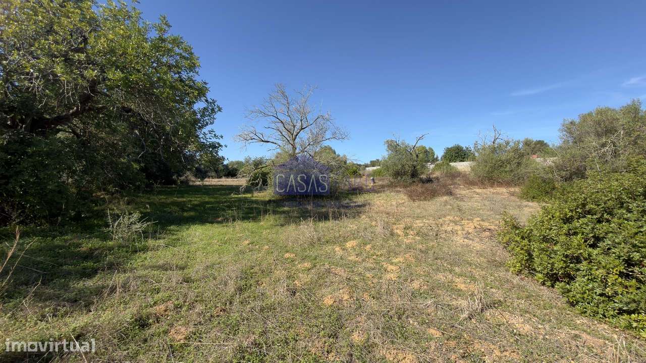 Terreno Rústico plano a 10min de Olhão. Oportunidade-11
