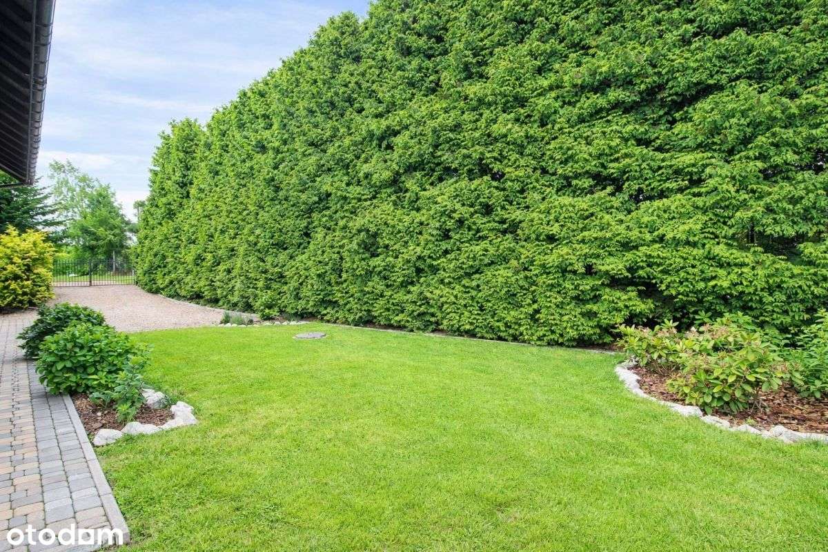 Hit!!! Mogilany, przestronna działka-4