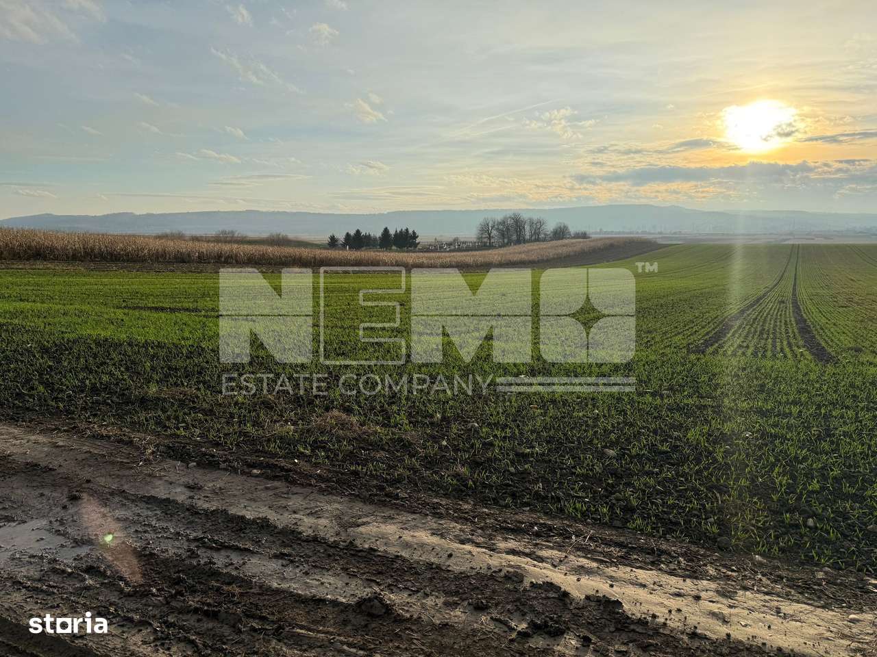 TEREN EXTRAVILAN | E85 | 126.000EURO NEGOCIABIL | - Imagine principală: 5/10