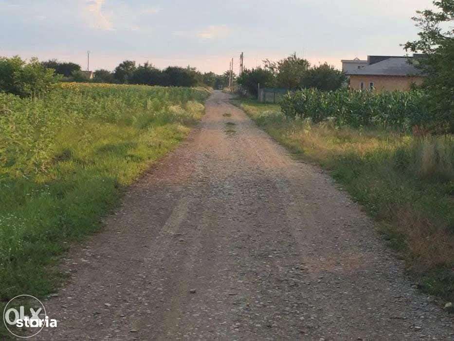 Teren Ciofliceni, comuna Snagov. Str. Stefanita Voda, intravilan - Imagine principală: 4/10