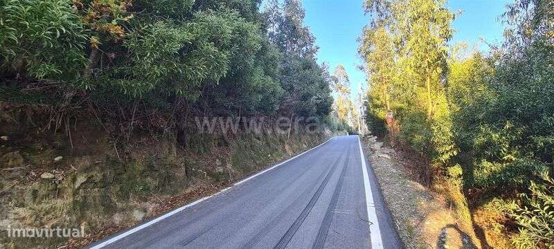 Terreno / Penafiel, Abragão - Grande imagem: 3/16