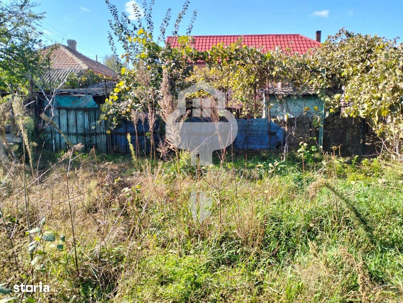 Casa de vanzare Lumina-6