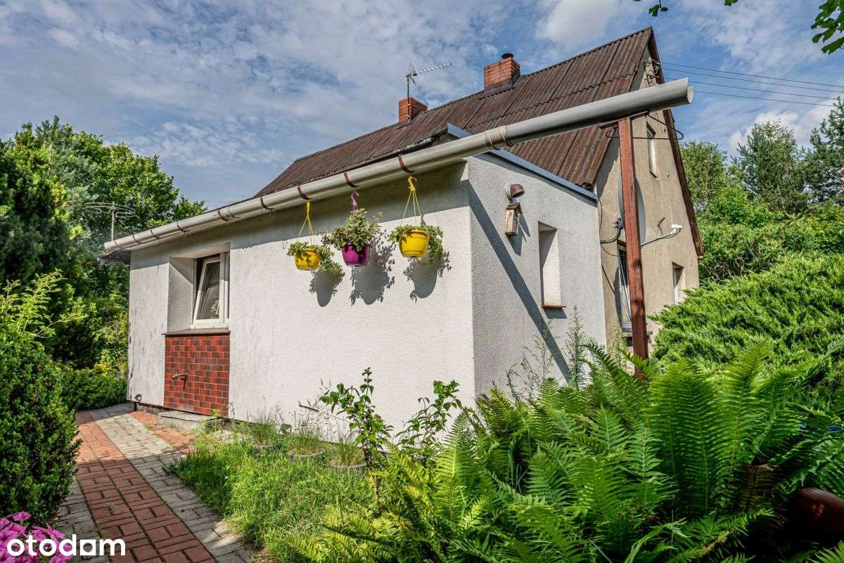 Dom z dużą działką/las/rzeka/pod Obornikami-7