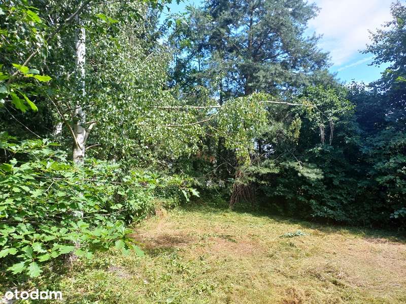 Działka, 1 600 m², Bukowina-4