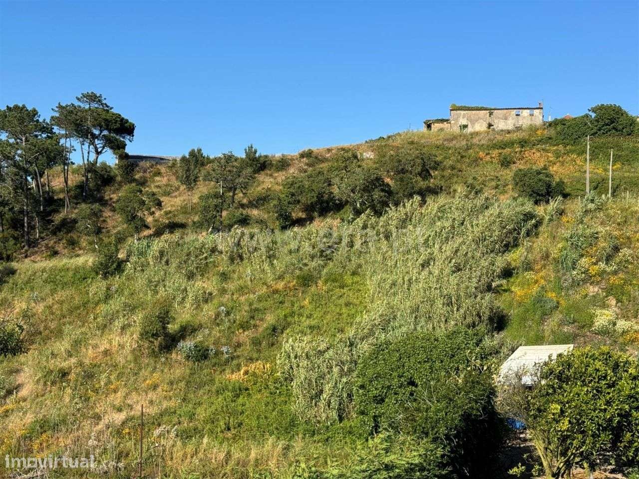 Terreno, 750 m², Santo Isidoro - Grande imagem: 5/14