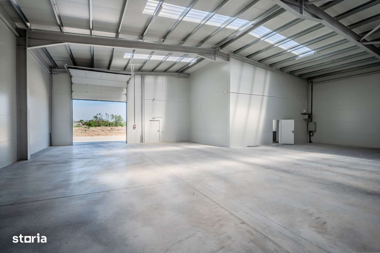 De vanzare Hală Nouă 1200mp – Top Pret, in zona Chitila / Rudeni-5