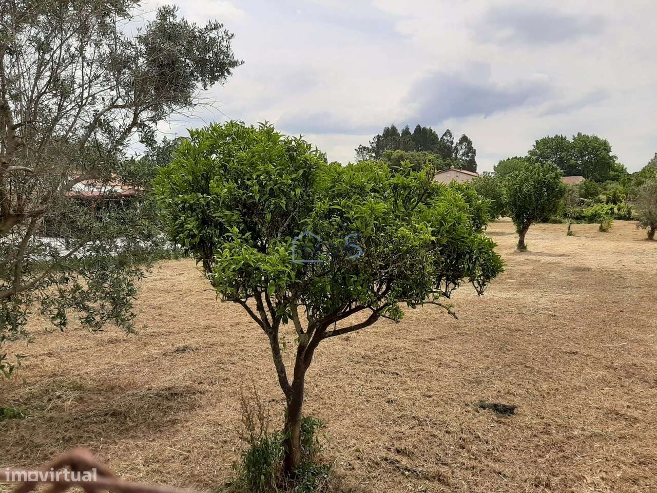 Terreno para construção na Vila de Ferreira do Zêzere-17