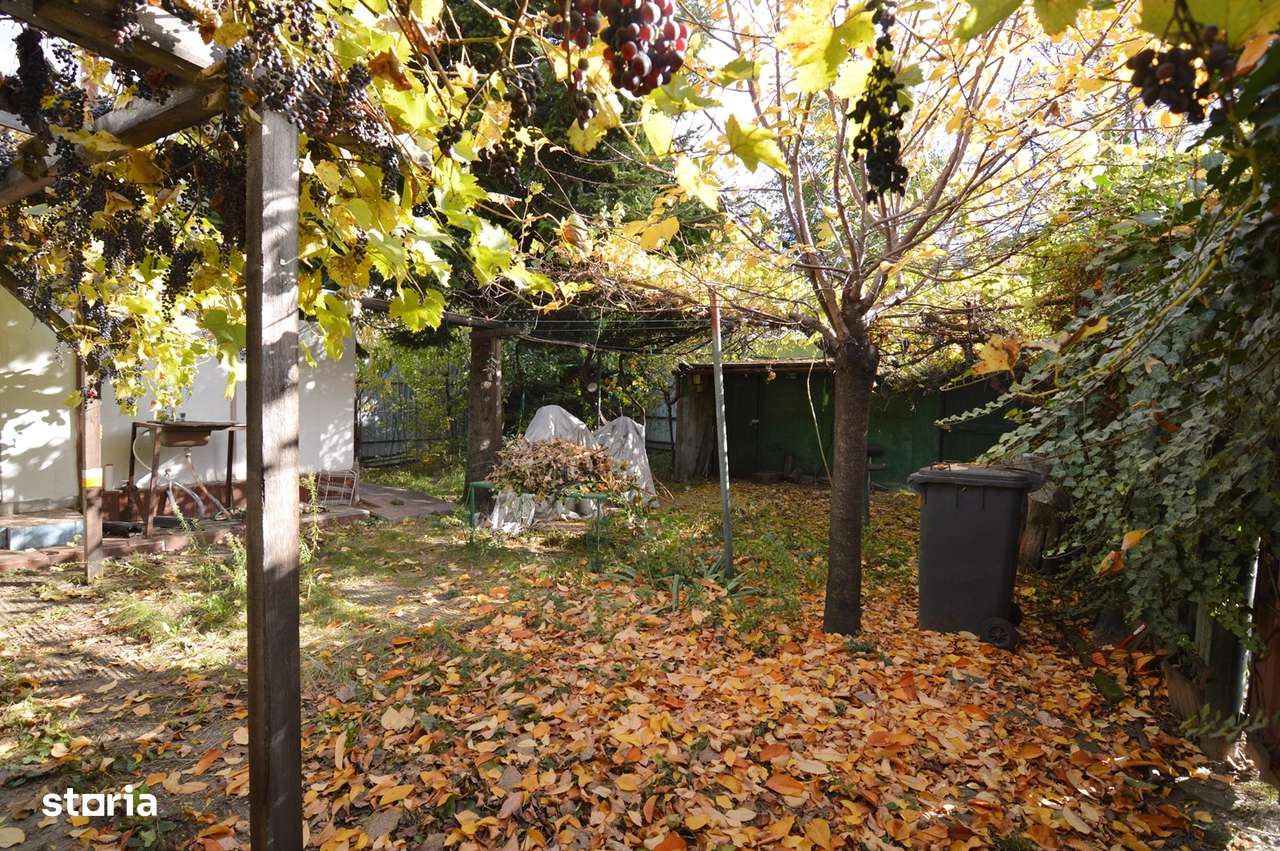 Garsoniera Baba Novac | Curte Proprie | Localizare Excelenta - Imagine principală: 3/20