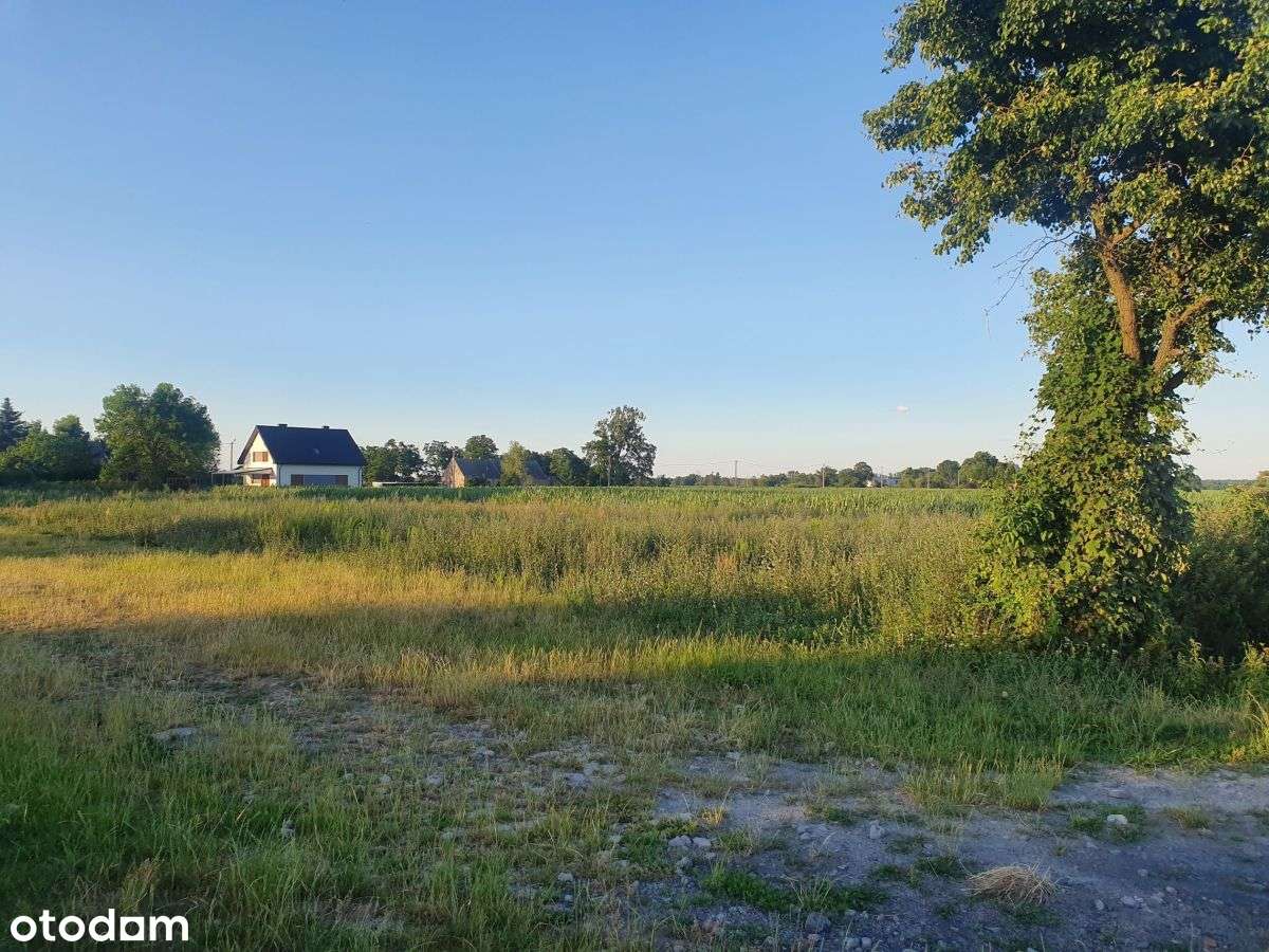 Goniczki k/Wrześni działka budowlana-15