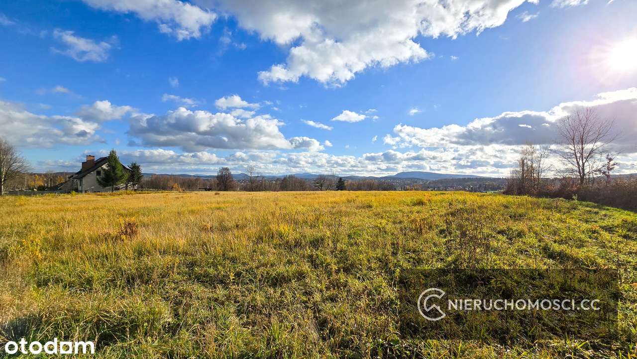 Sprzedaż 1/3 udziału - 3,56ha działek i gospodarstwo rolne-17