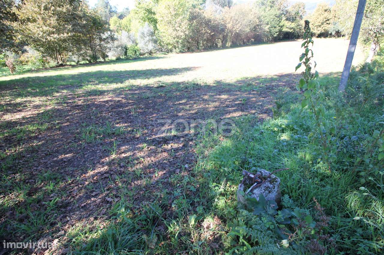 Terreno Rústico em Veigas, Goães, Amares - Grande imagem: 4/24