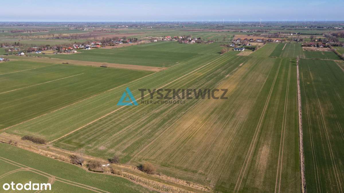 Działka rolna - Cisy, Malbork - Pełny obrazek: 4/11