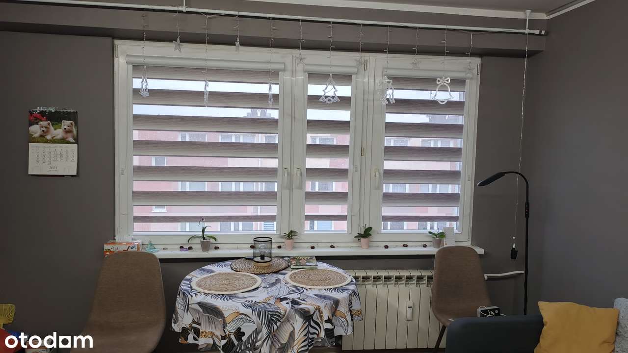 Skierniewice 33 m2  2 pokoje ** NA RATY - Pełny obrazek: 2/7