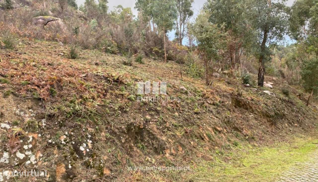 Venda Terreno, Penha Longa, Marco de Canaveses - Grande imagem: 4/25