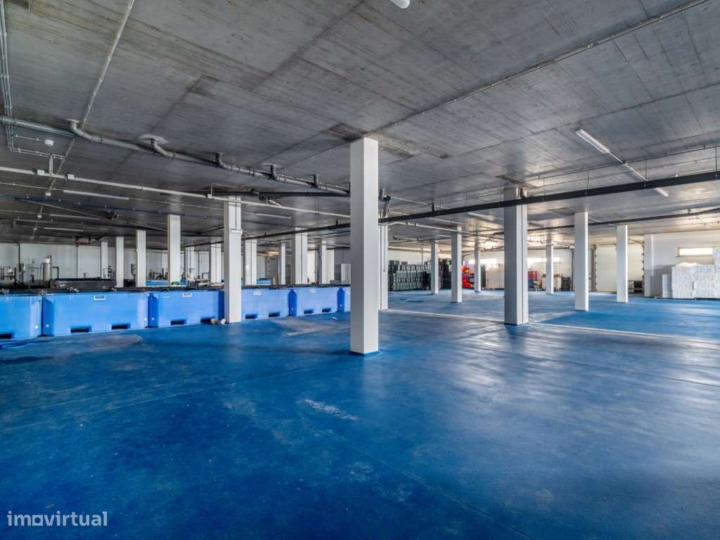 Edifício 1ª linha de mar - Peniche - opções múltiplas de investimento-32