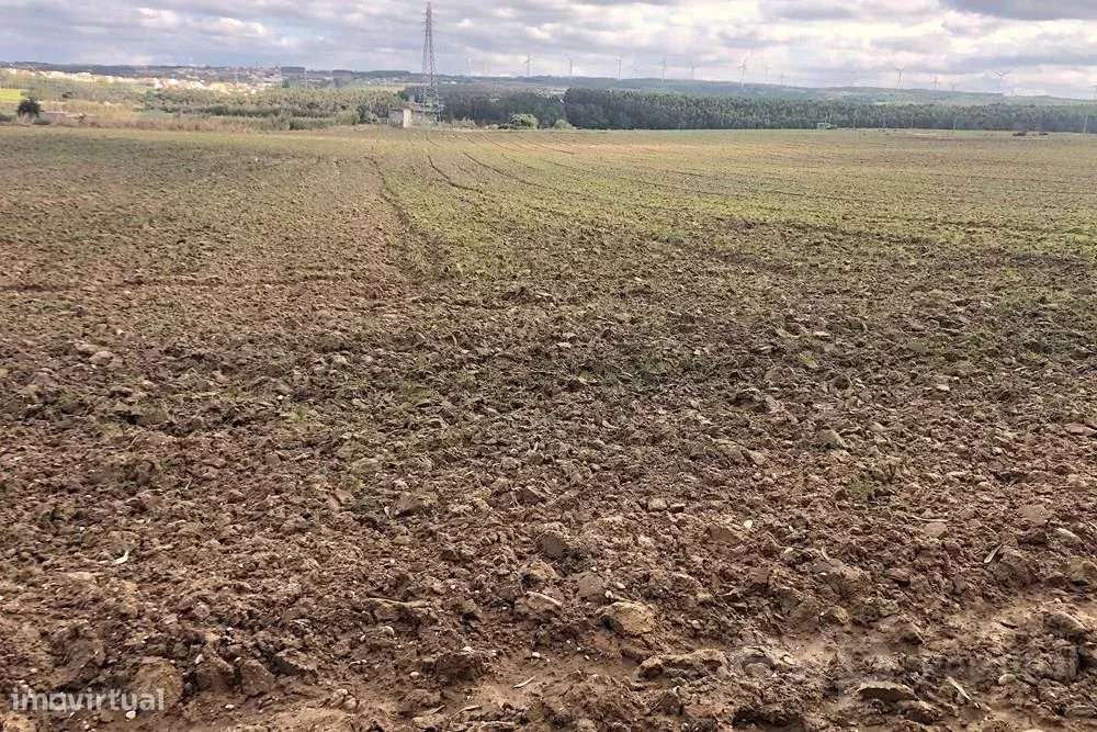 Terreno Rústico de 14.000 m² na Vila de Atouguia da Baleia - Grande imagem: 3/23