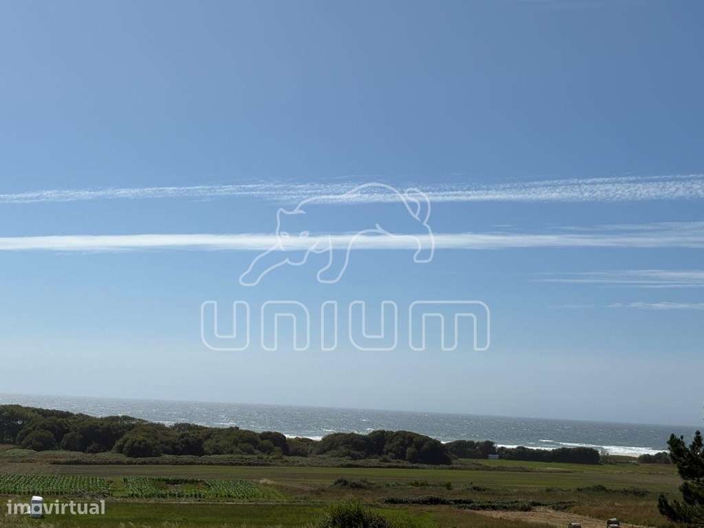 Apartamento T1 Afife - Grande imagem: 3/12