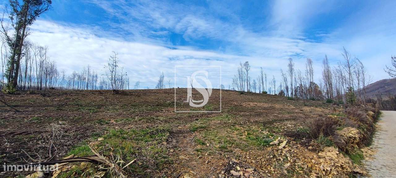 Terreno de 2,4Ha em Melres - Grande imagem: 4/8