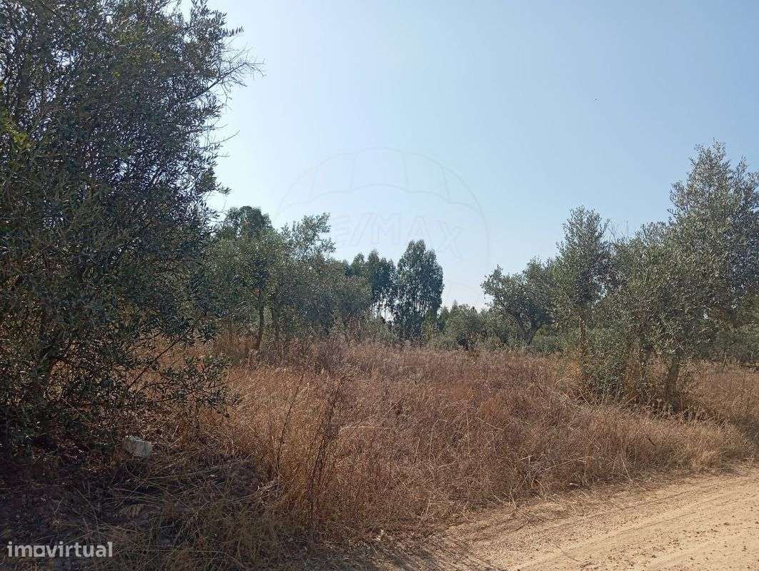 Terreno  para venda - Grande imagem: 3/4