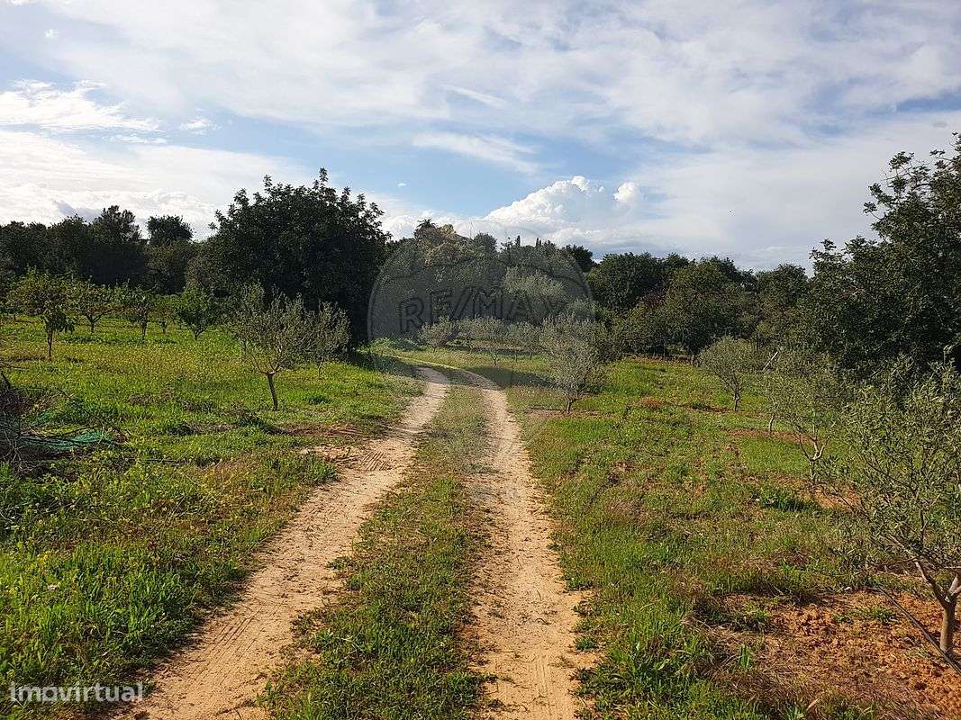 Terreno  para venda - Grande imagem: 4/21