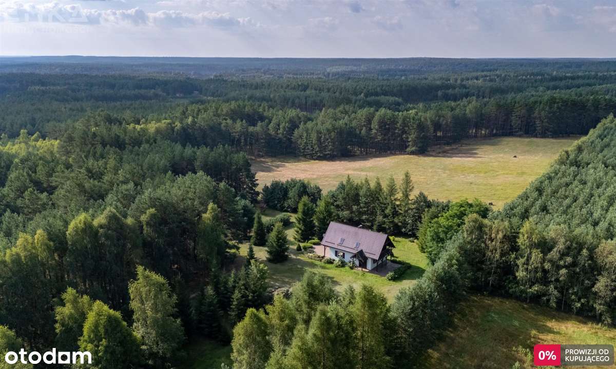 Wyjątkowy dom w środku lasu Bory Tucholskie 2,5Ha-1
