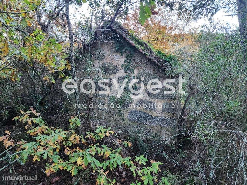 Terreno Rústico com 2450 m2 e pequena casa em pedra de arrumos - Grande imagem: 2/13