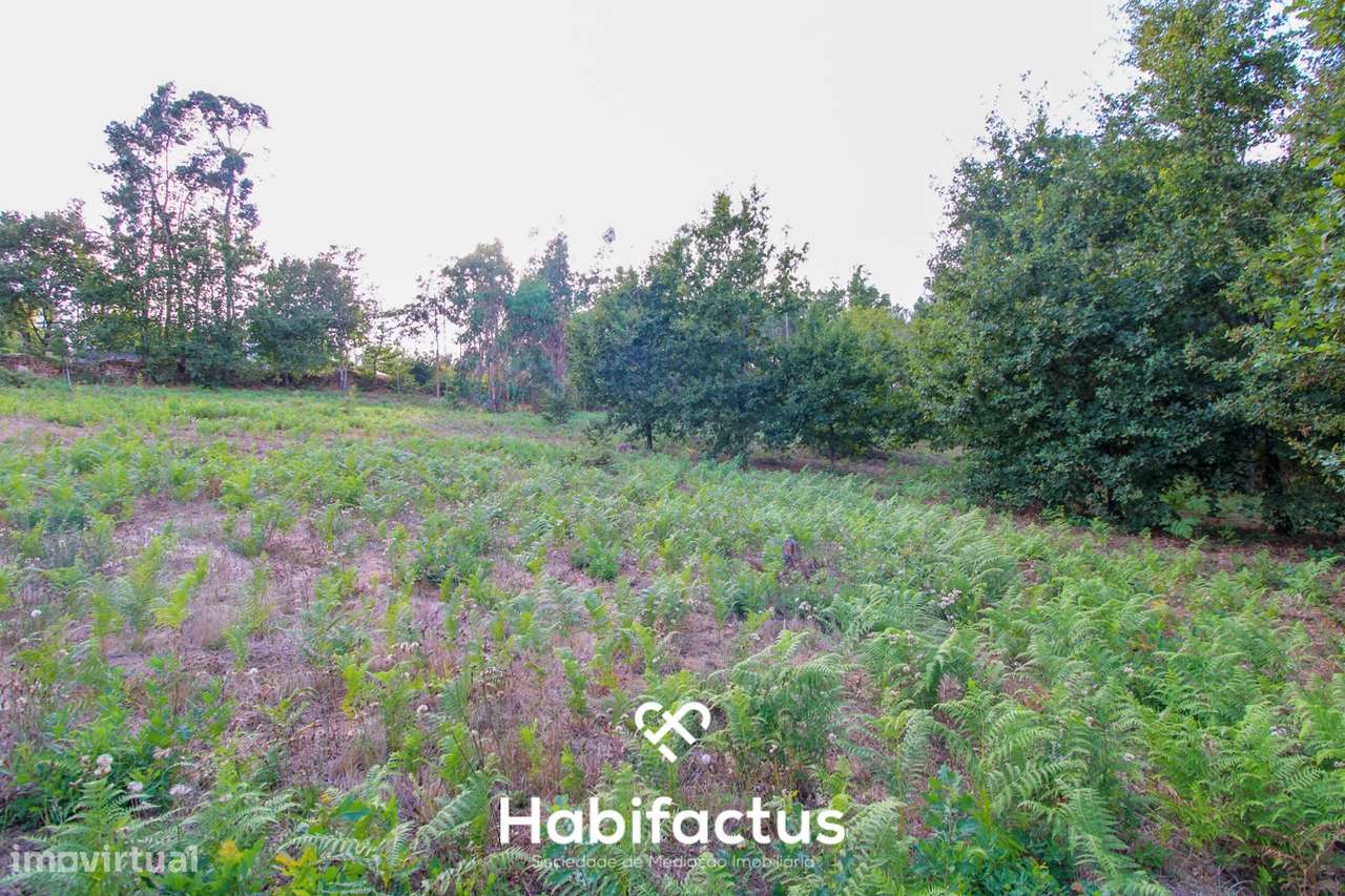 Terreno para Construção com 4720m² em Sabugosa – Ideal para Moradia Is - Grande imagem: 5/9