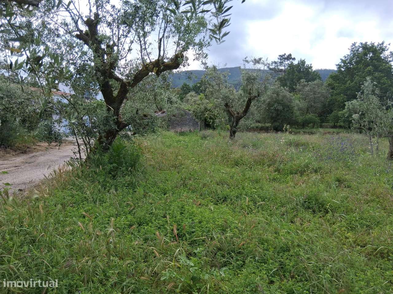 Moradia para Restaurar com Terreno Urbano – Cadaixo, Miranda do Corvo-29