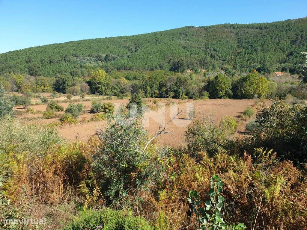 Excelente terreno localizado nas Taliscas, freguesia do Paul - Grande imagem: 4/5