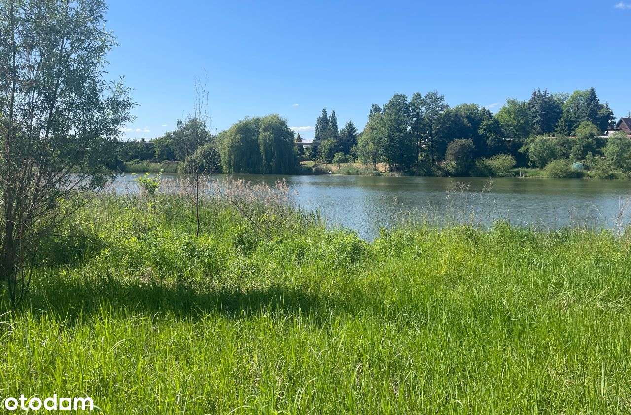 Wyjątkowa oferta - działki budowlane + staw - Pełny obrazek: 4/9