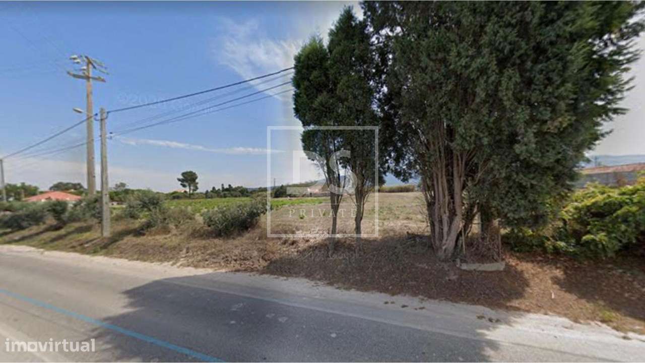 Terreno  Venda em Juncal,Porto de Mós - Grande imagem: 4/4