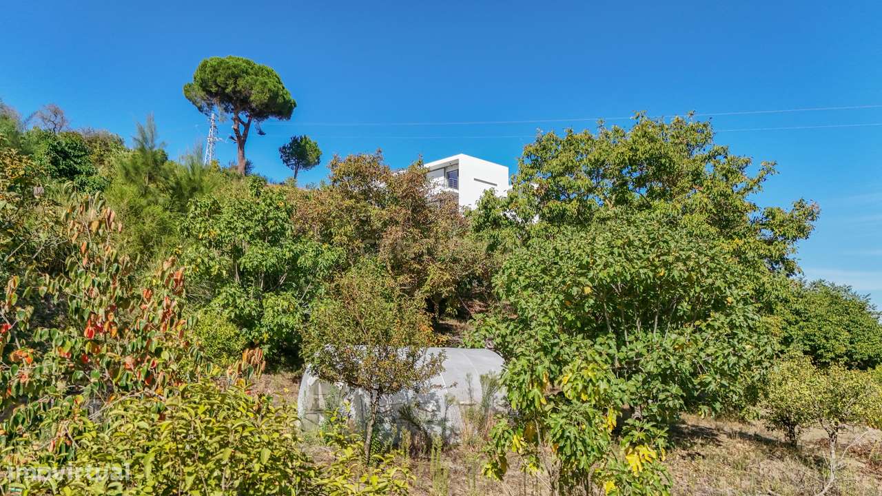 Quinta na Arrábida com moradia T5 de 364 m2 em lote de 13 520 m2 Onde-52