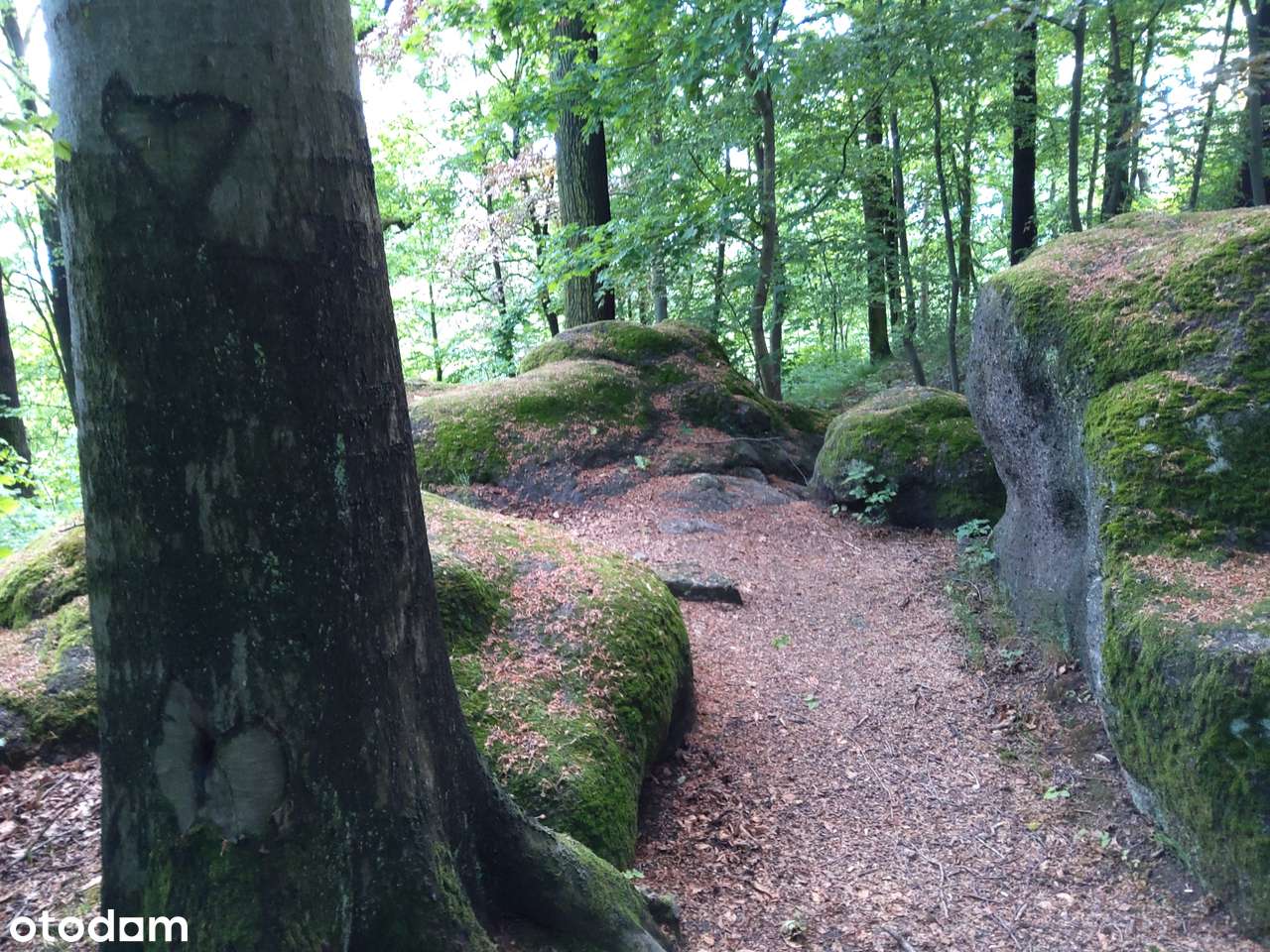 ZabytkowyPAŁAC w Karkonoszach -w nim HOTEL-widok Na Śnieżkę-12 HApark - Pełny obrazek: 4/20
