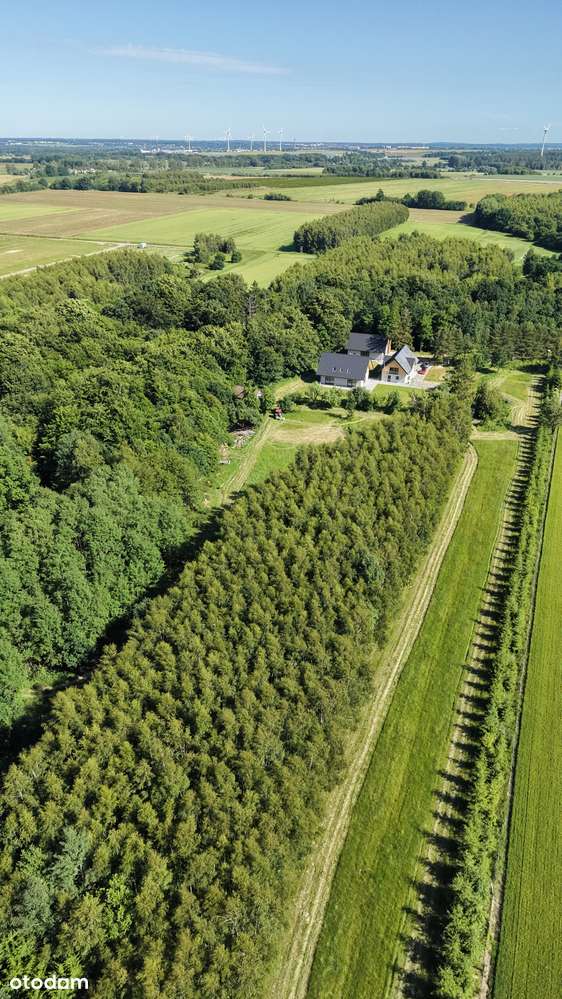 Wyjątkowe siedlisko | 4 ha prywatnego świata | Gałęzinowo k. Ustki-1