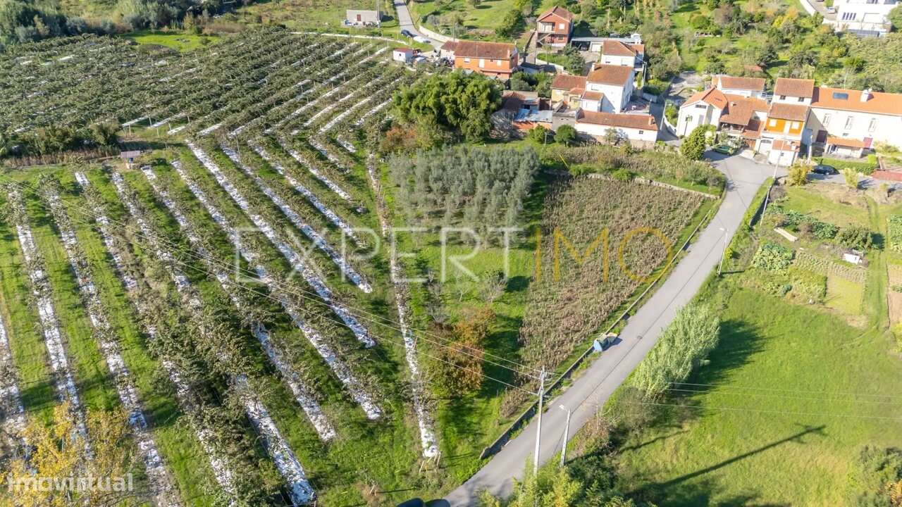 Terreno junto a Ribeiro em Quinta do Colaço (Almalaguês/Coimbra) - Grande imagem: 2/12