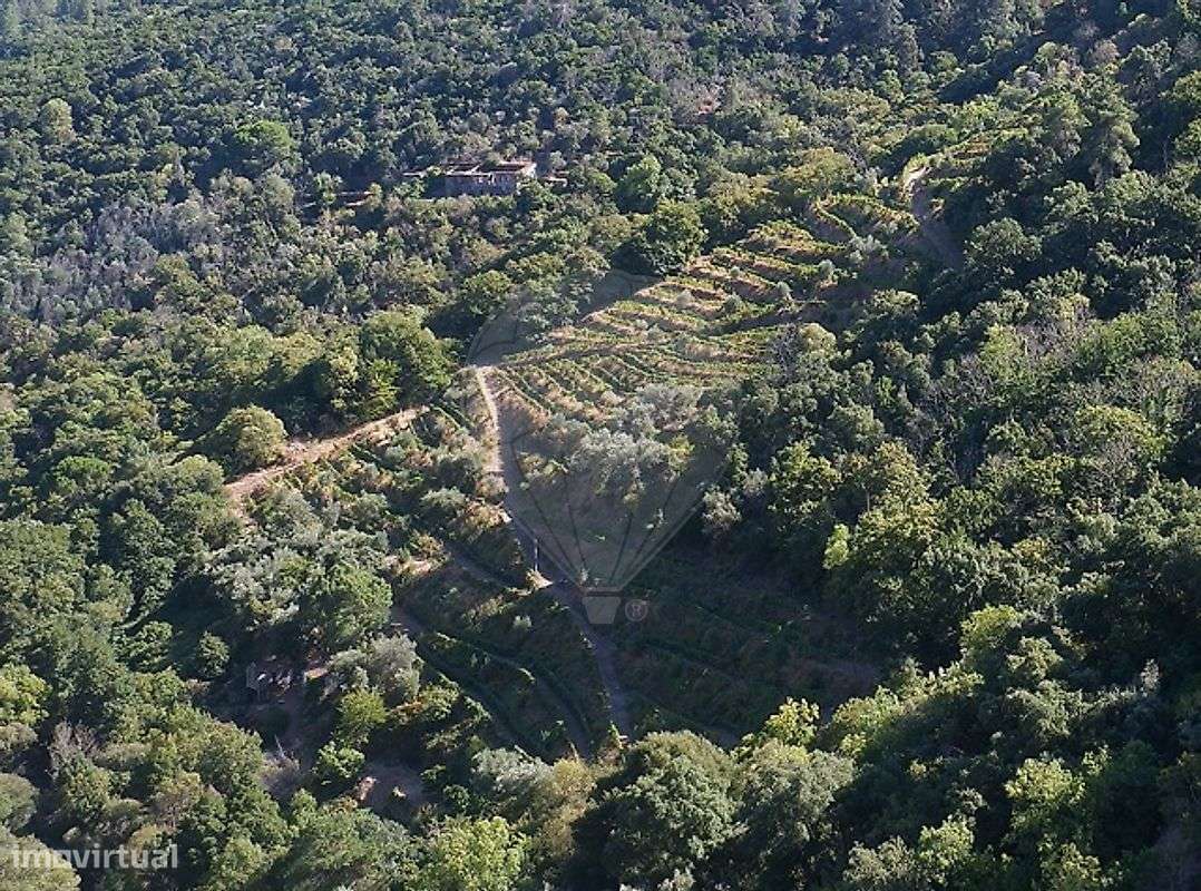 Terreno  para venda - Grande imagem: 5/17